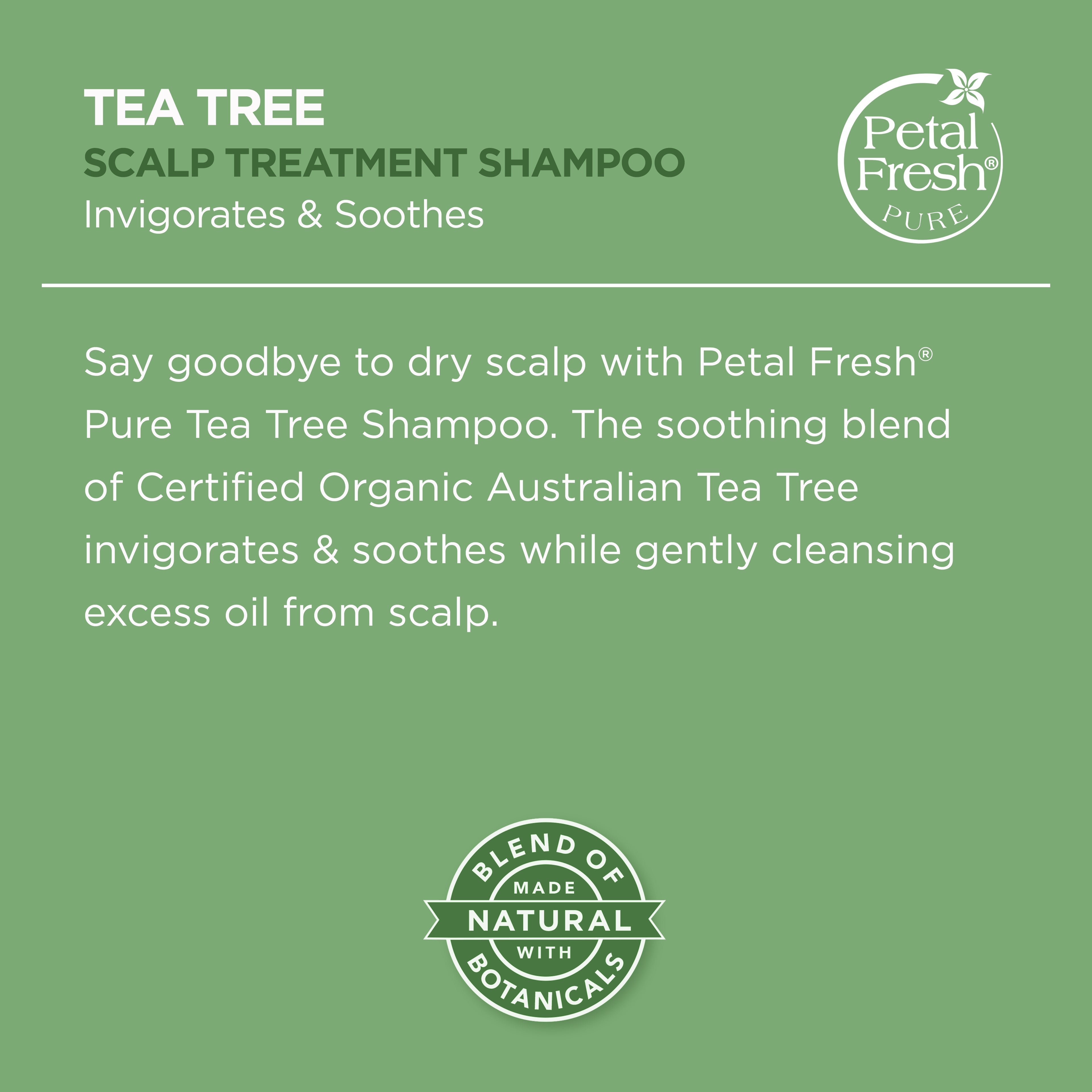 Petal Fresh Scalp Treatment Tea Tree Shampoo + Conditioner Combo