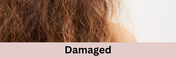 Hair Care Products For Damaged Hair Type