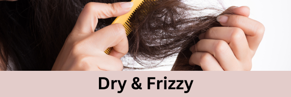 Collection Of Products For Dry Frizzy Hair Type