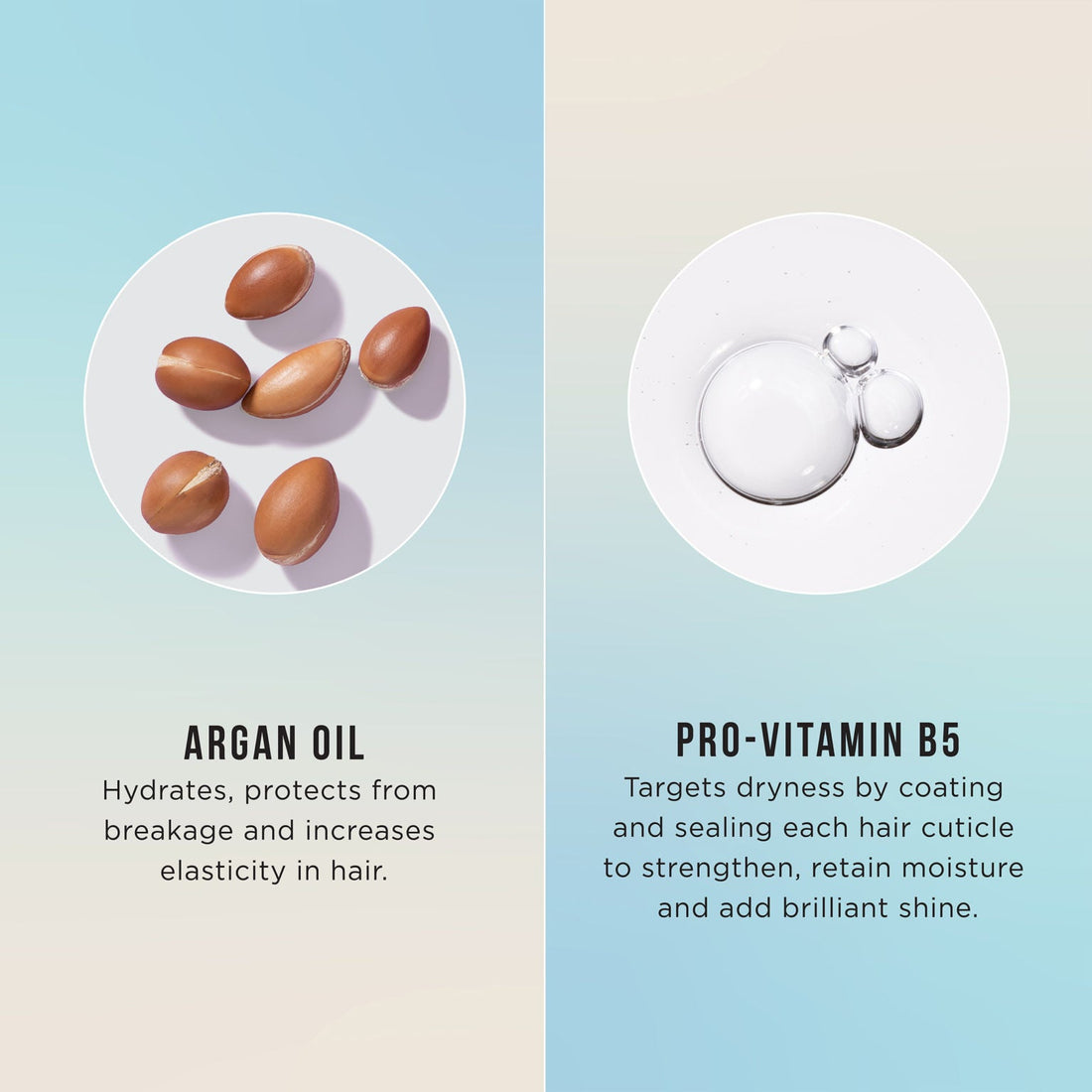 HASK Argan Oil Repairing Shampoo + Conditioner Combo