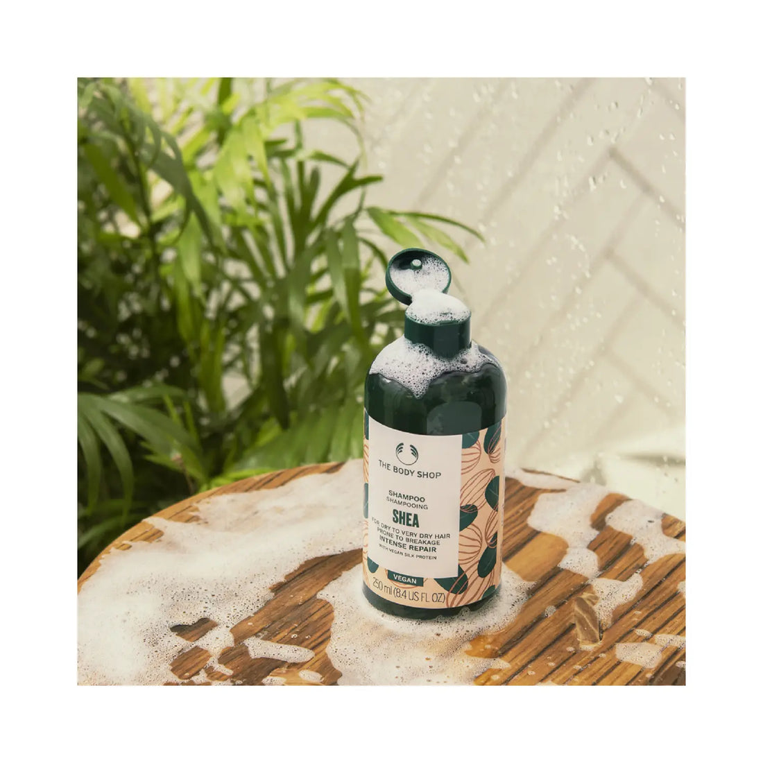 Shea Intense Repair Shampoo