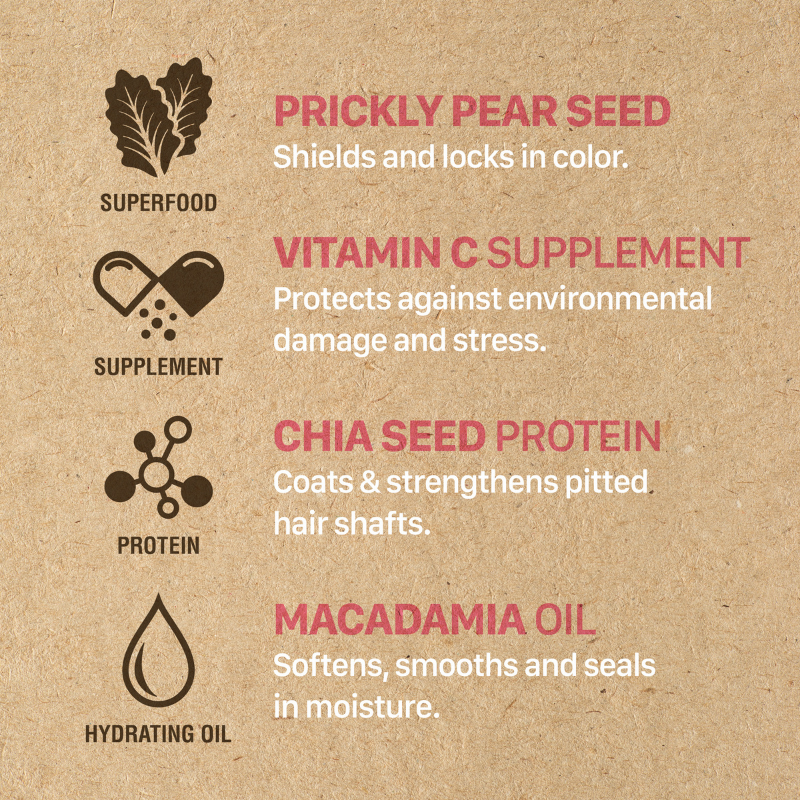 BCL Superfoods Prickly Pear Seed Color Defense Shampoo + Conditioner Combo