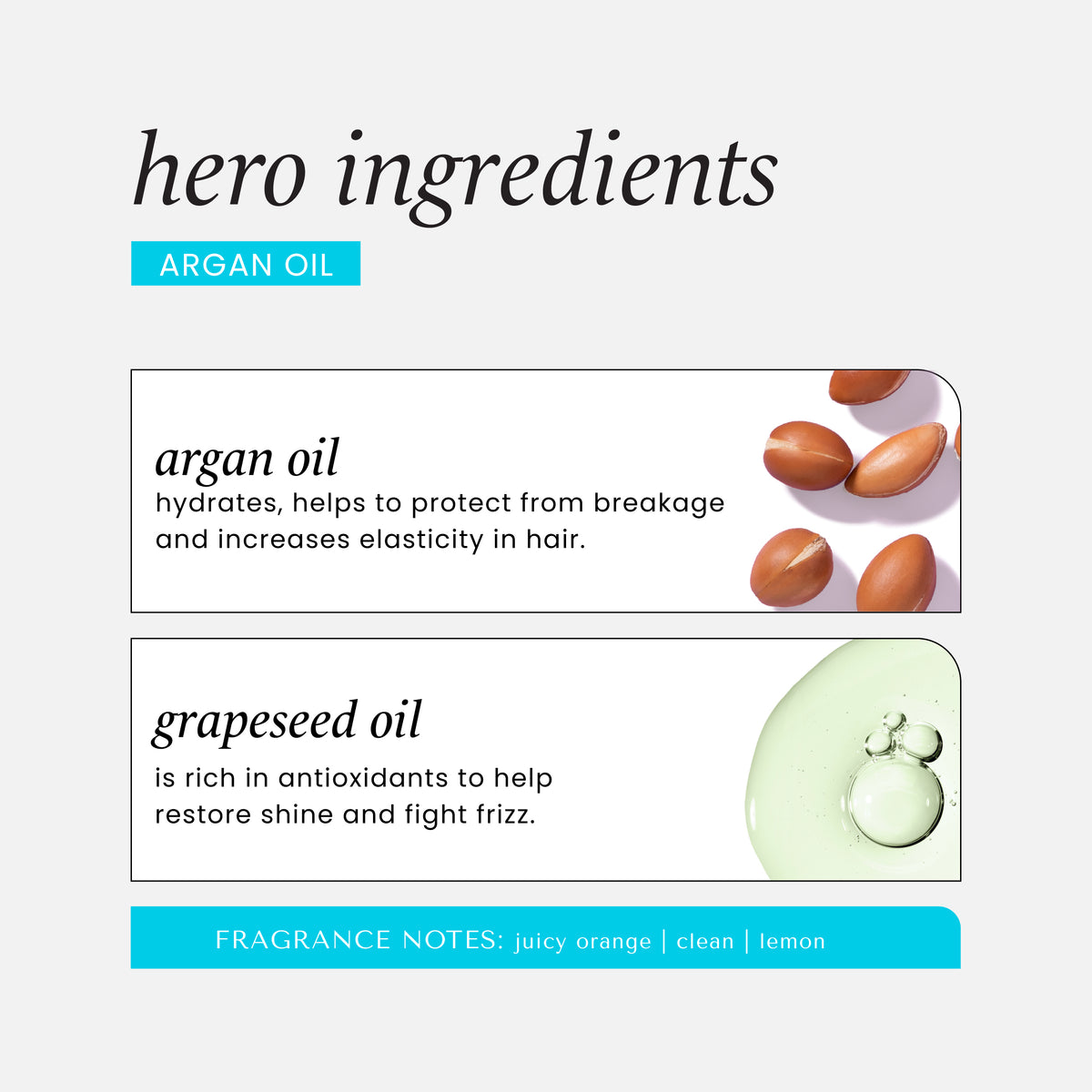 HASK Argan Oil Repairing Hair Oil 100Ml