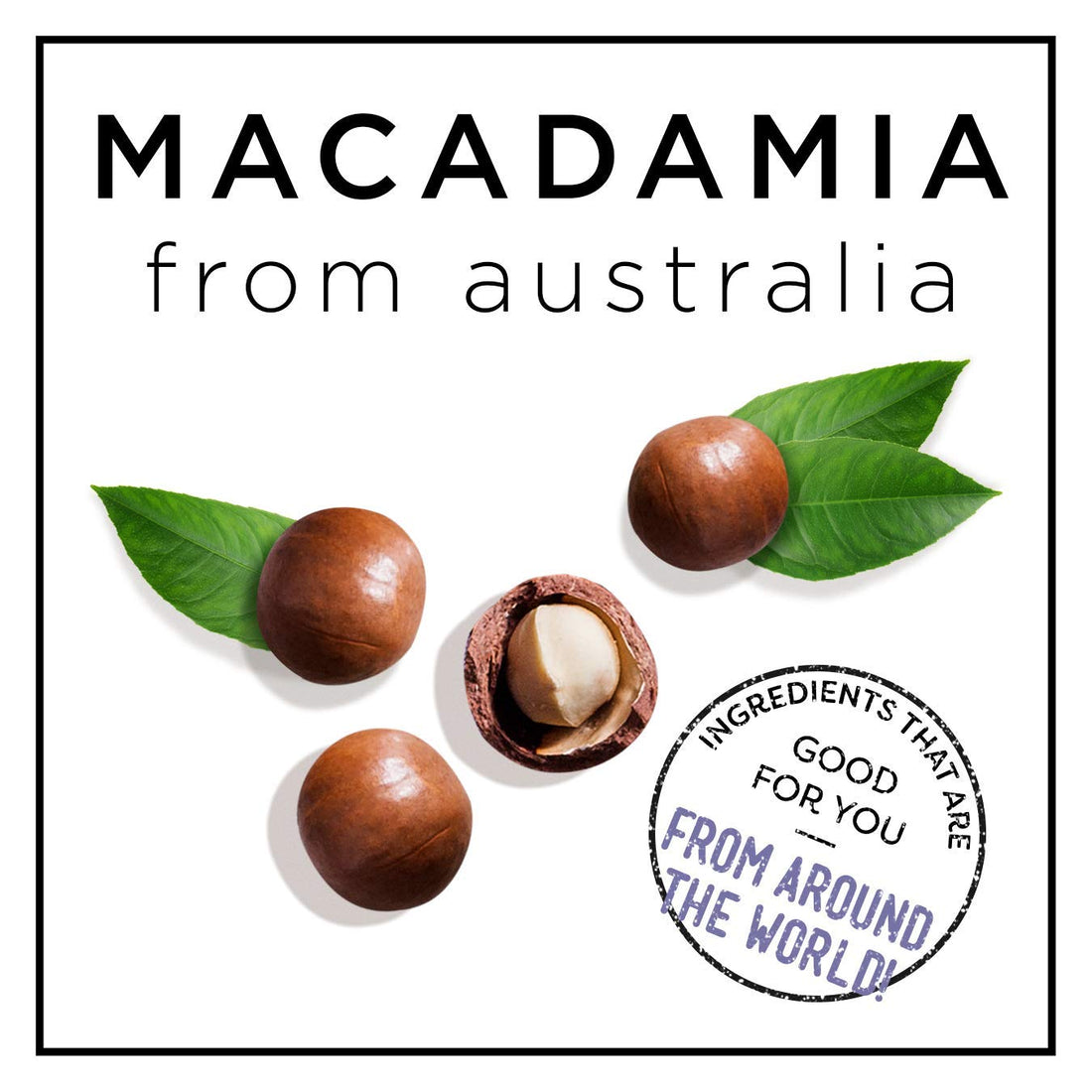 HASK Macadamia Oil Moisturizing Shampoo + Conditioner Combo