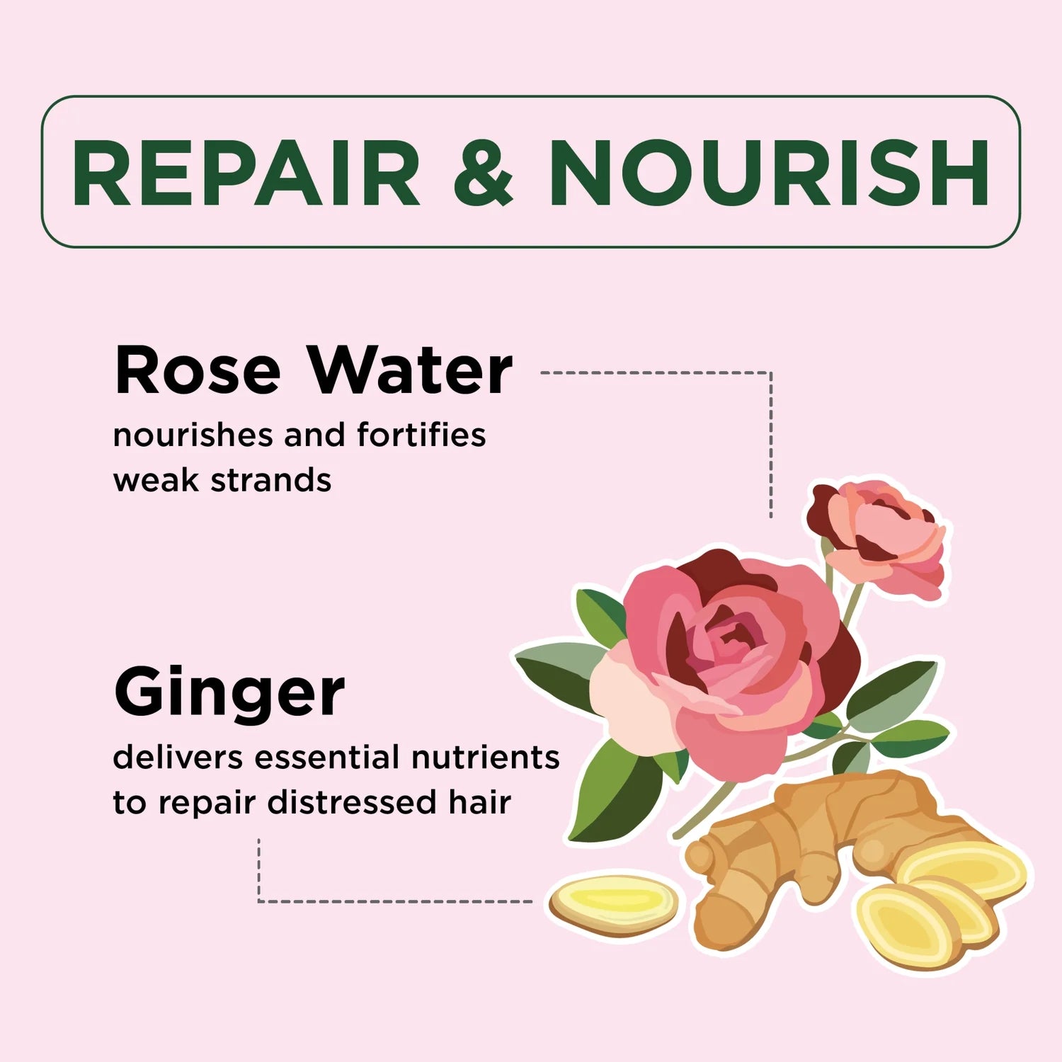 Petal Fresh Pure, Repair &amp; Nourish Conditioner, Ginger &amp; Rose Water, 16 fl oz (475 ml)