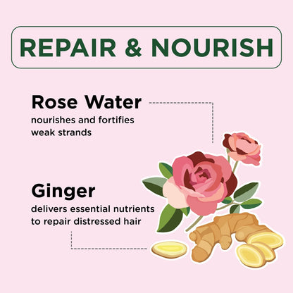 Petal Fresh Pure, Repair &amp; Nourish Conditioner, Ginger &amp; Rose Water, 16 fl oz (475 ml)