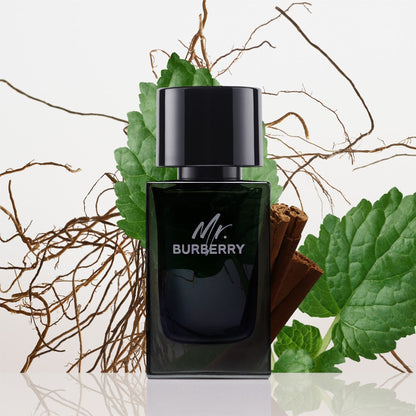 Burberry Mr. Burberry Eau De Parfum(100ml)