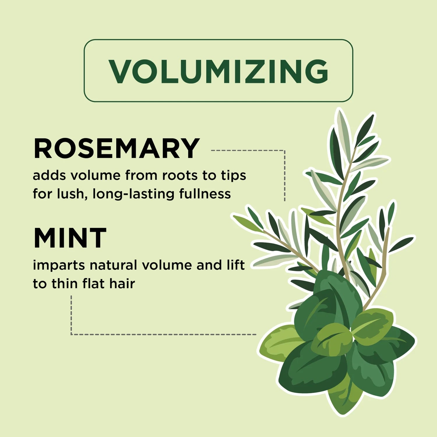 Petal Fresh Pure Volumizing Shampoo, Rosemary &amp; Mint, 475 ml – Vegan &amp; Sulphate Free
