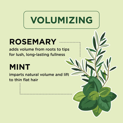 Petal Fresh Pure Volumizing Shampoo, Rosemary &amp; Mint, 475 ml – Vegan &amp; Sulphate Free