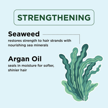 Petal Fresh Pure Strengthening Conditioner, Seaweed &amp; Argan Oil, 16 fl oz (475 ml)