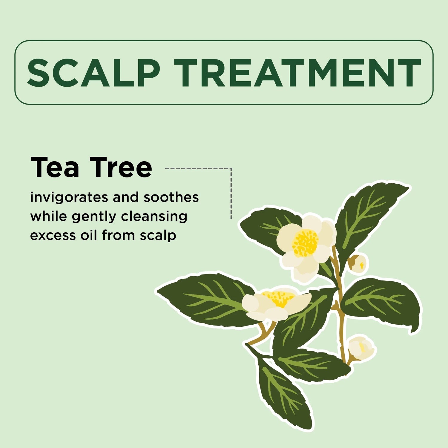 Petal Fresh Pure Tea Tree Conditioner, 475ml – Refreshing Scalp Care