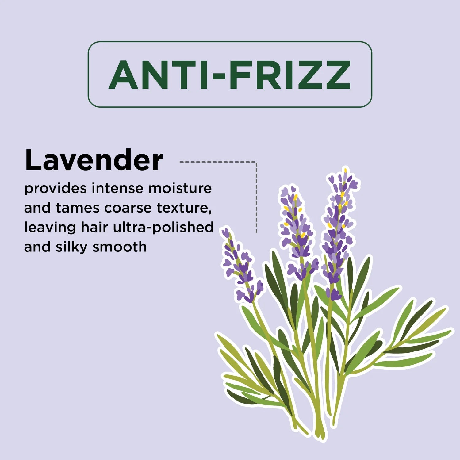 Petal Fresh Pure Anti-Frizz Shampoo, Lavender, 475 ml (16 fl oz)