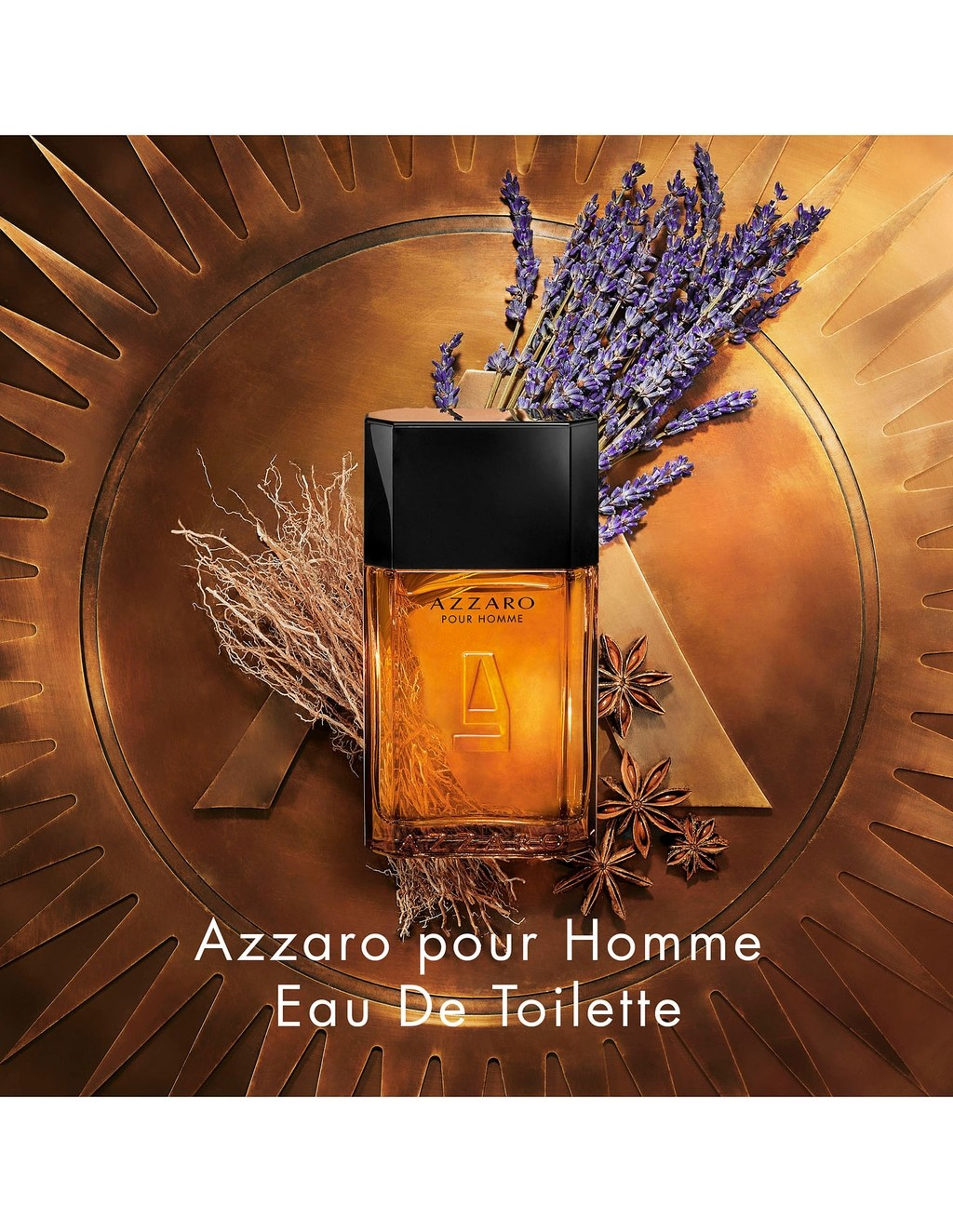 AZZARO Pour Homme Eau De Toilette • 100ml (2021)